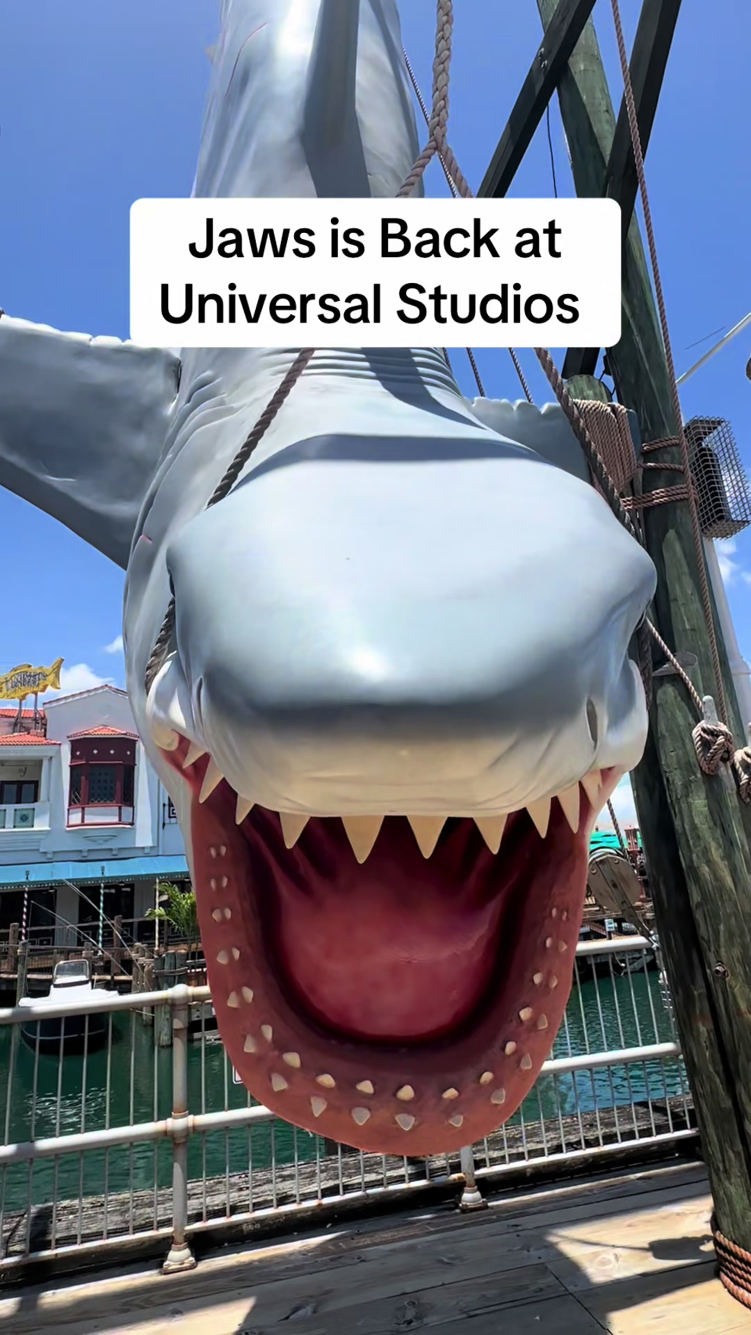 @Orlando Experience