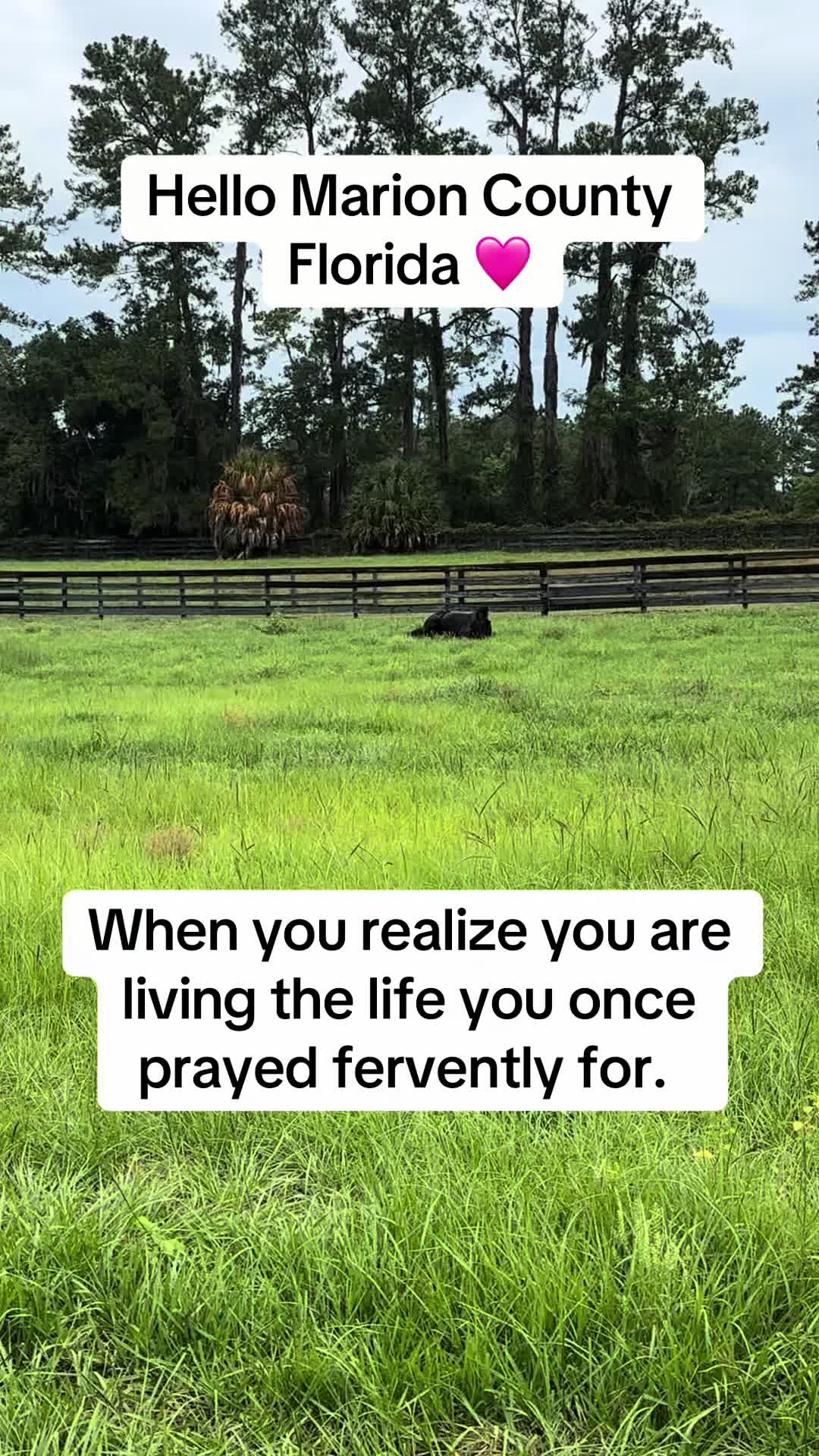 @itiswellstables