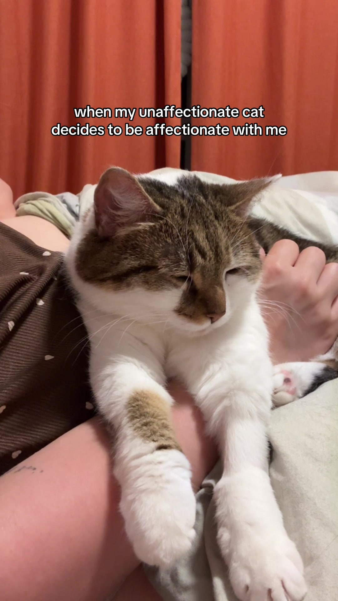 @Suki Purrs