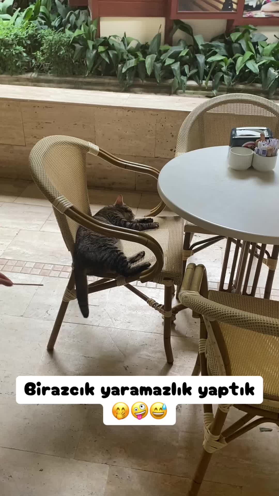 @Şapkalı Kadın