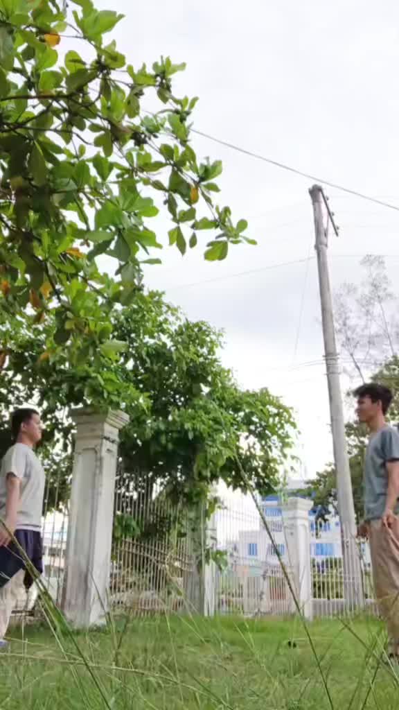 @Niño