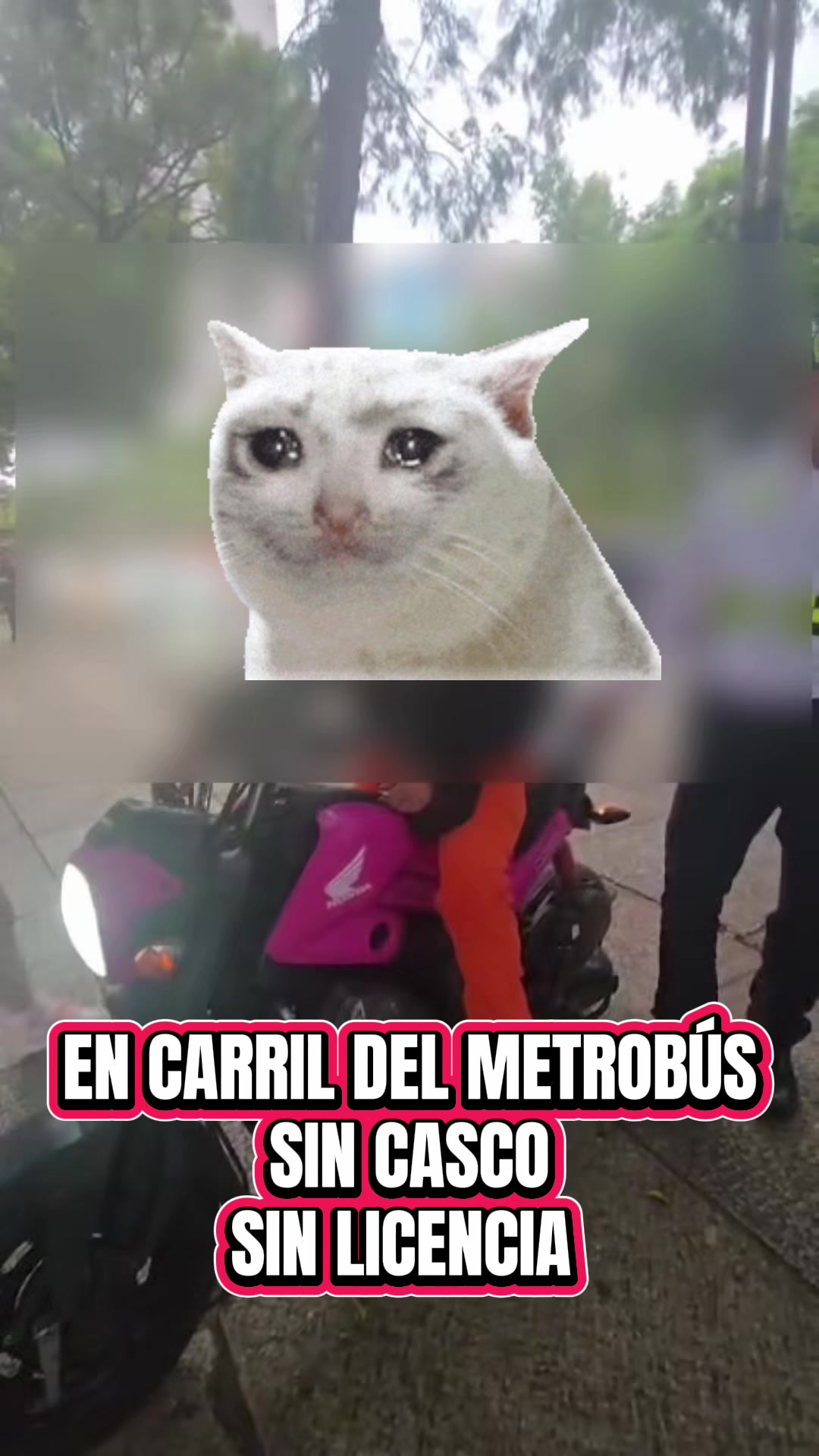 @SomosM&aacute;sLosBuenos🚔🚨