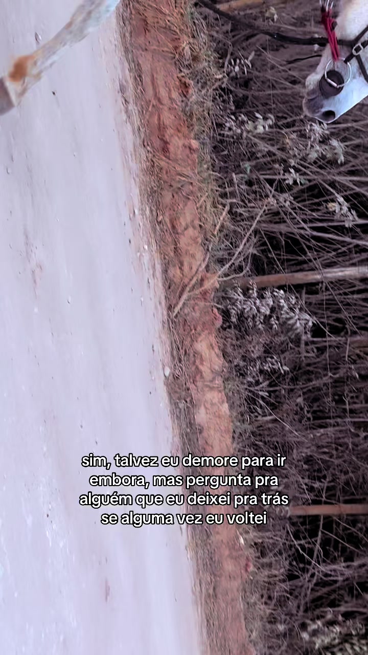 @Miryan Assun&ccedil;&atilde;o