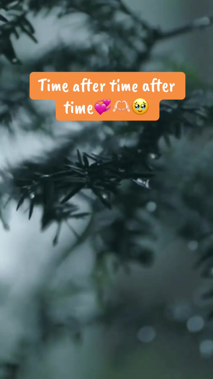 @SweetTeeTee