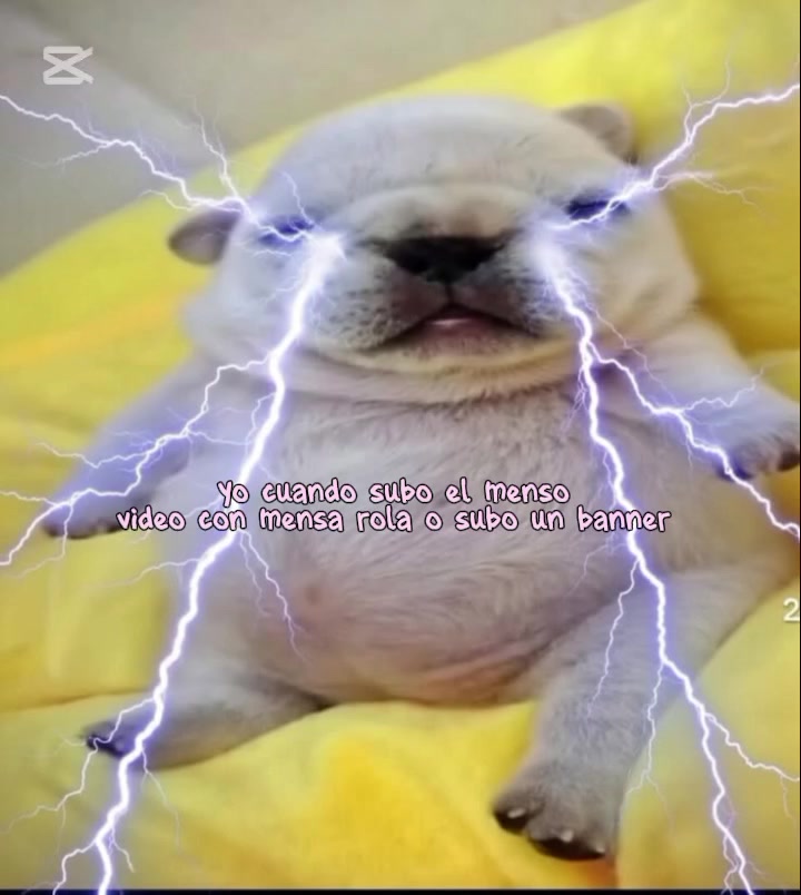 @✶⋆.˚𝐈:𝐈𝐈‧₊˚ ⋅