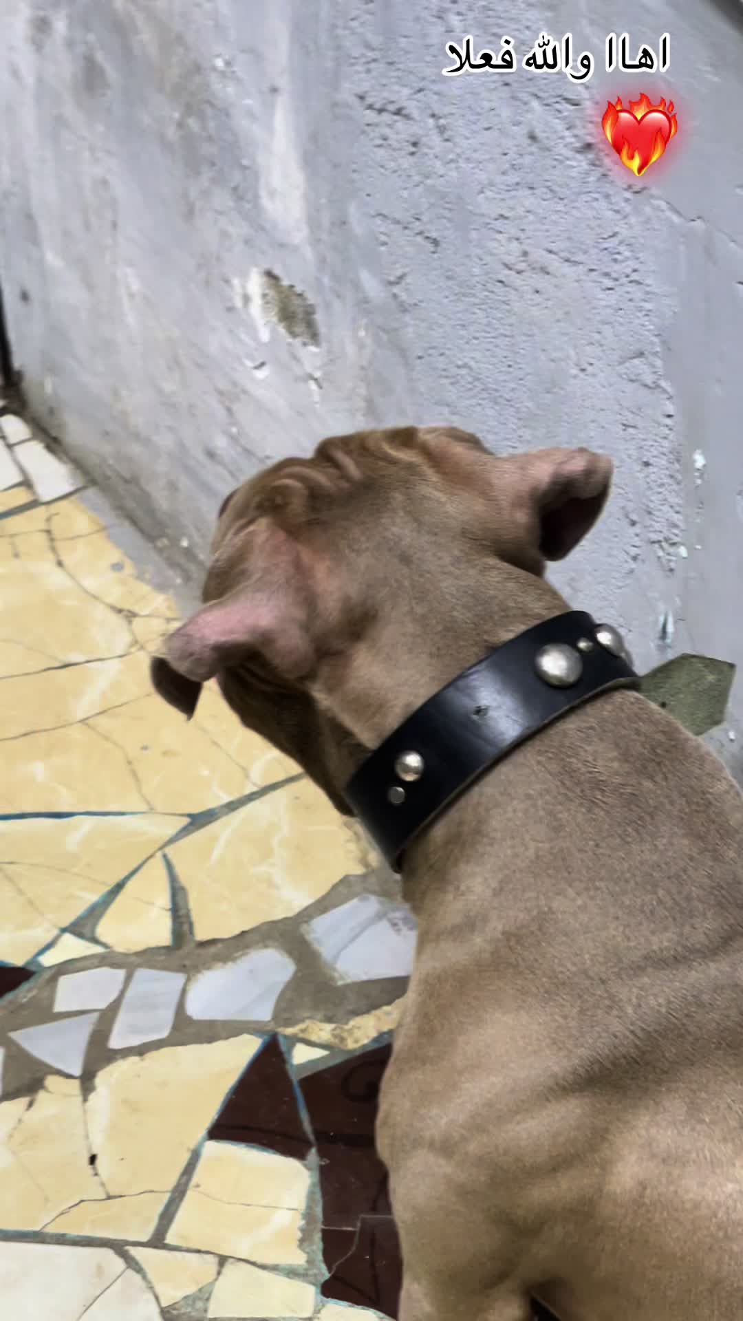 @zeus❤️🔥😈