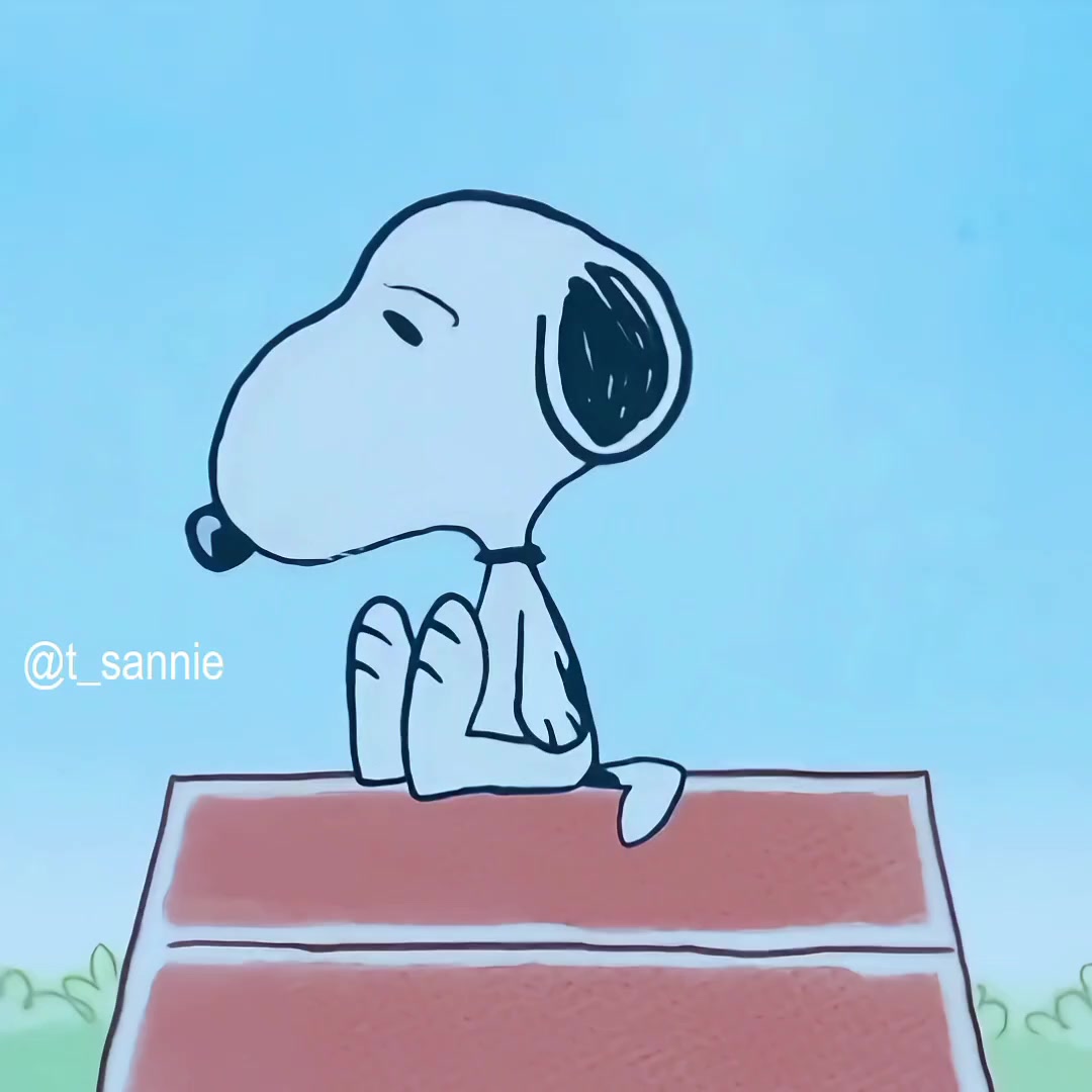 @thvsnoopy_𝜗ৎ
