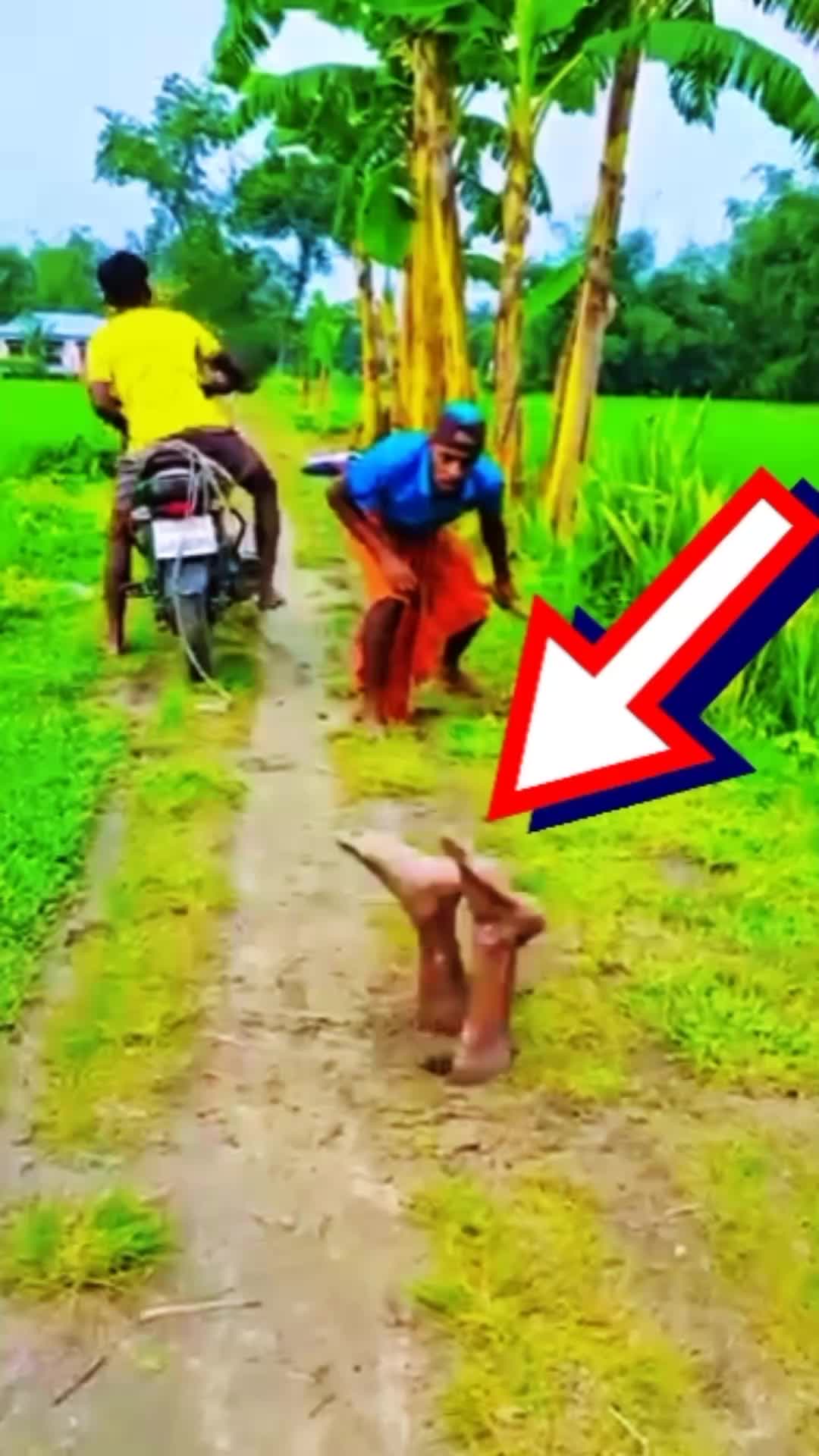 @TtvNews24