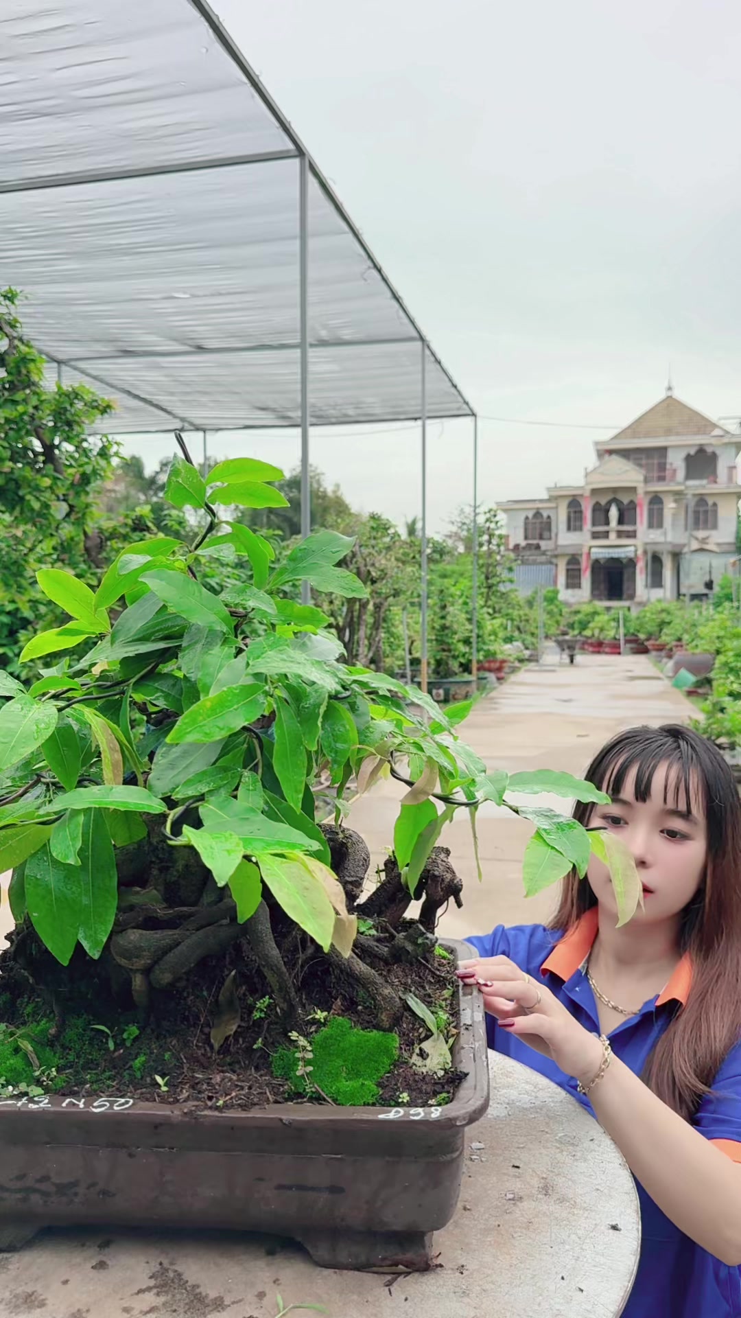 @Chichchoebong79
