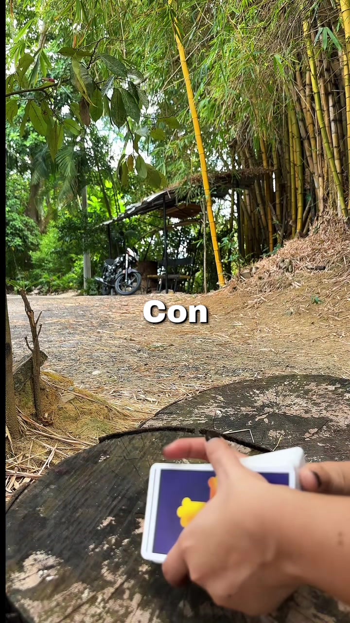 @T de Tarot