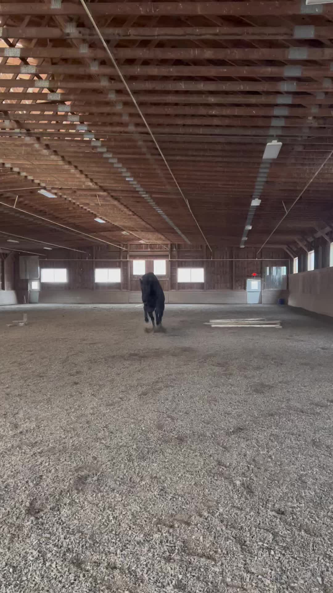 @Horseplay66