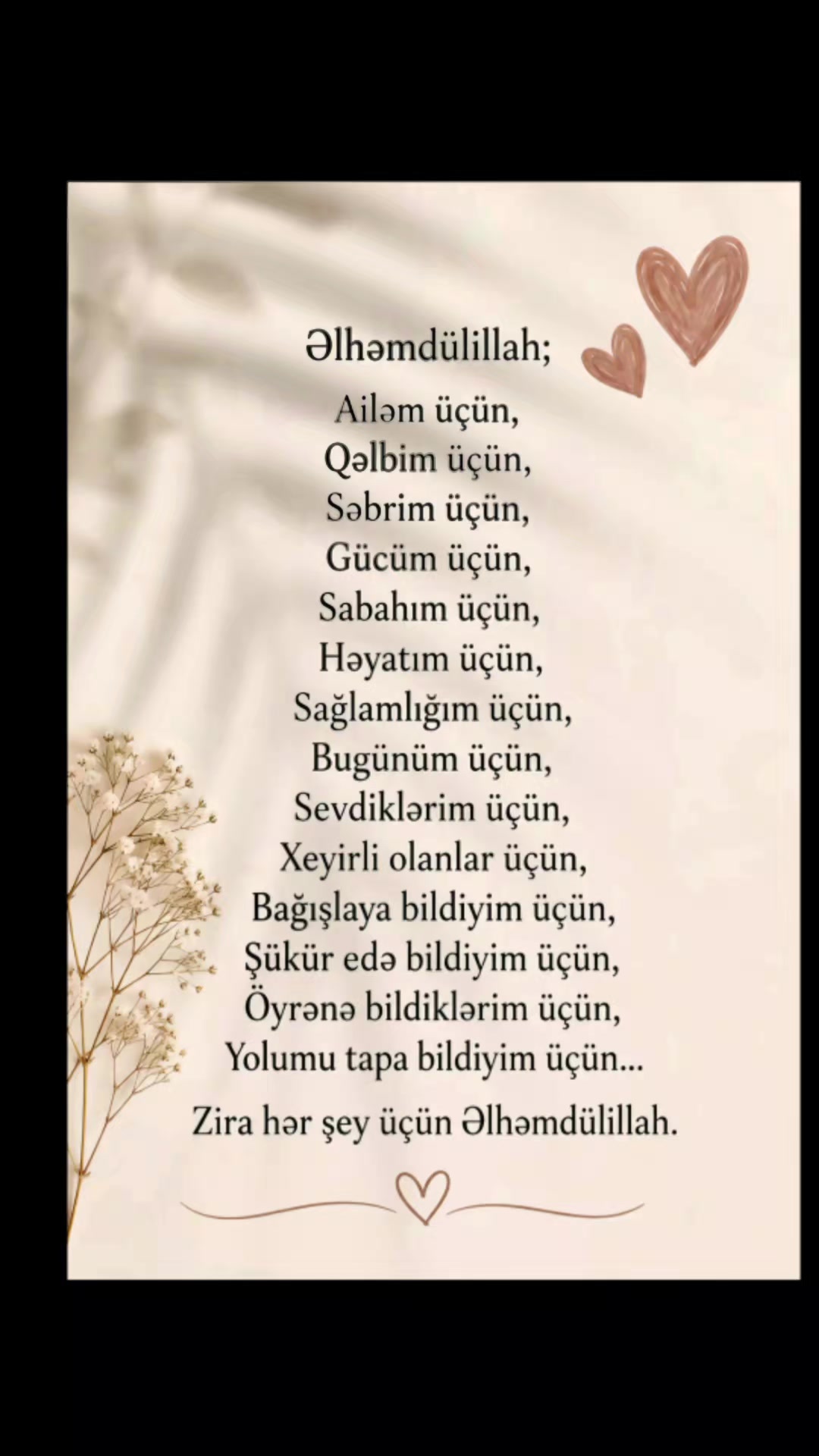 @Hayat⚘