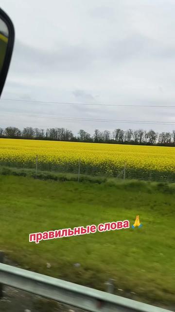 @Светлана Толстикова