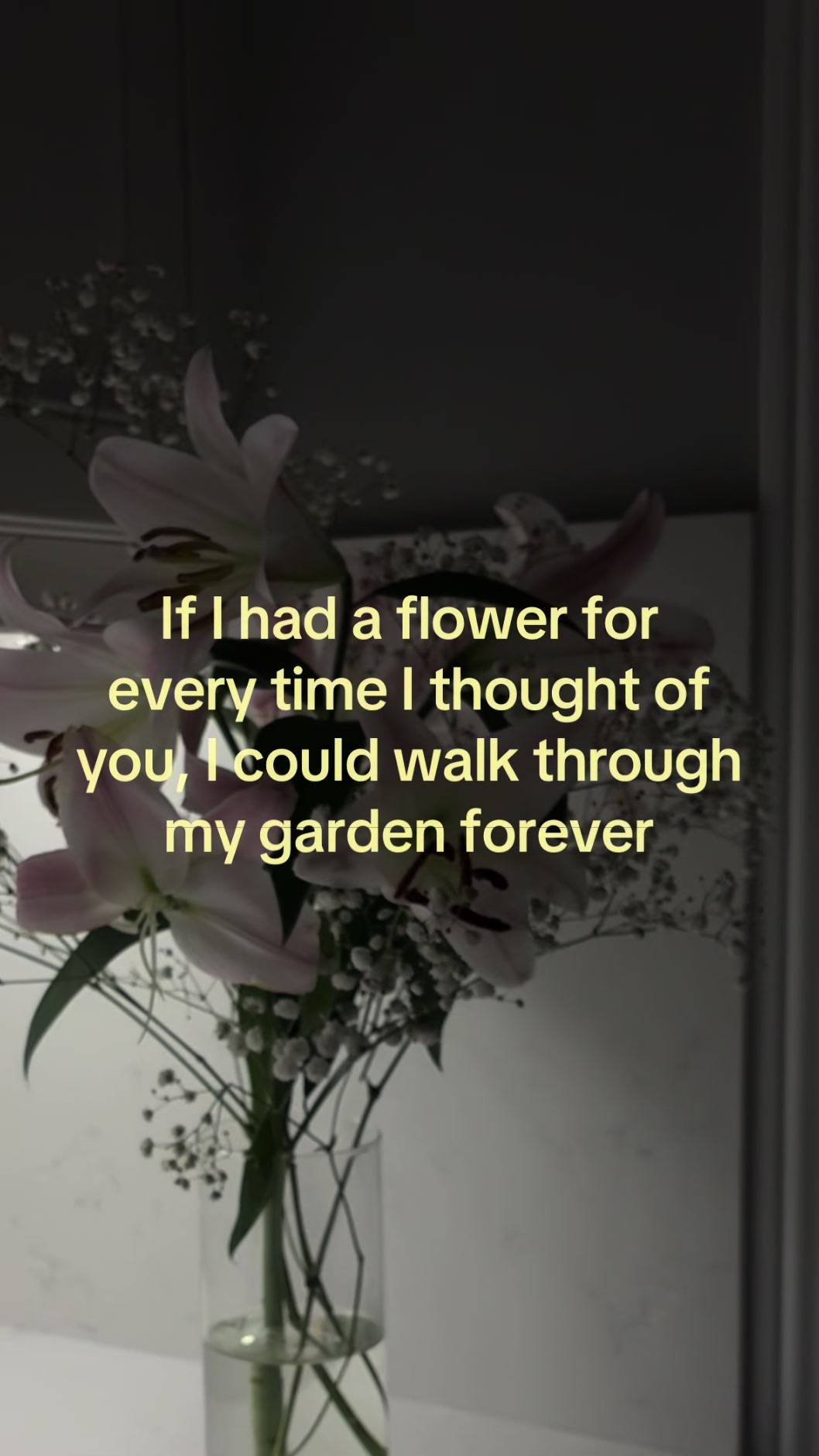@𝓚