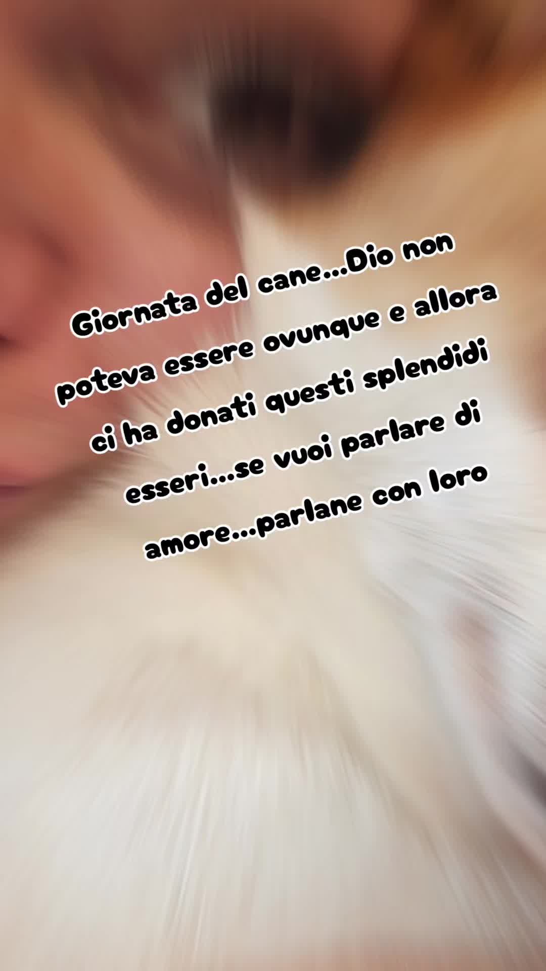 @Cristina Taddei