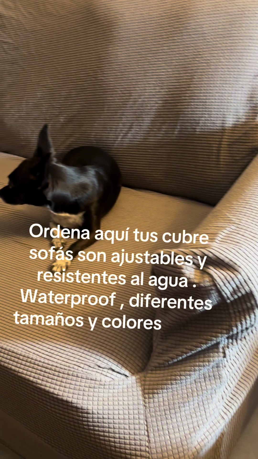 @cuquita_ortega