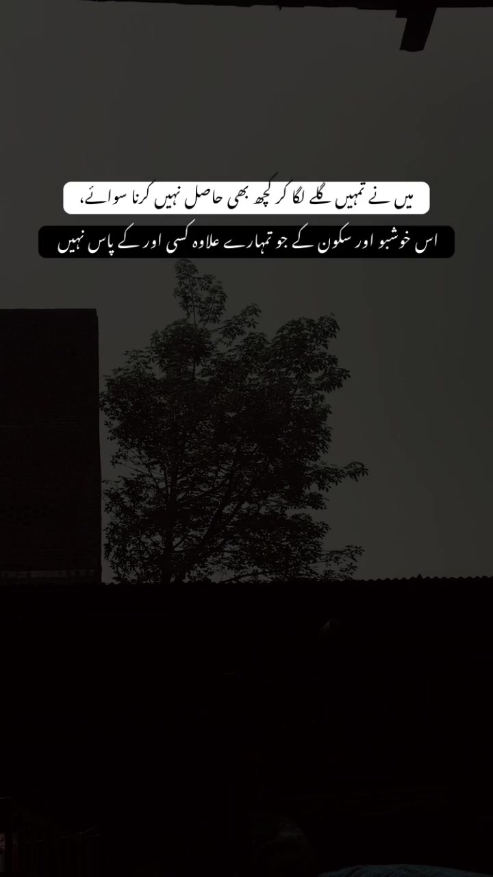 @>پاگل ہو <🦋