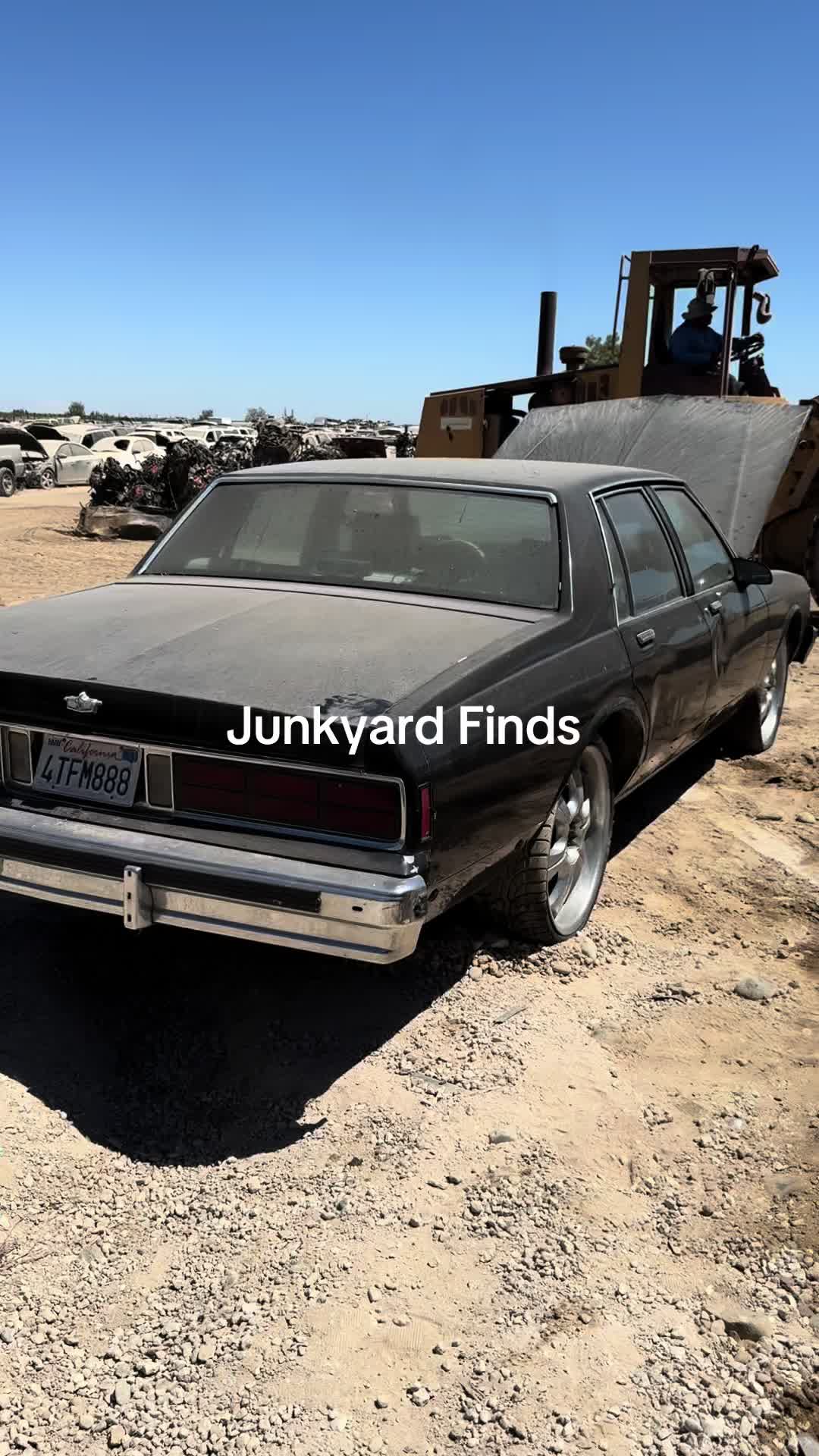 @junkyard_jose