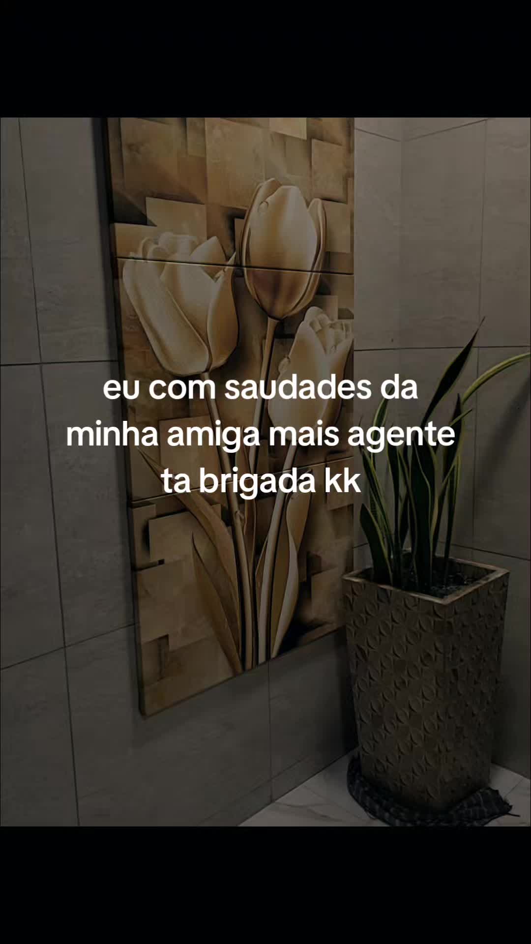 @mini diva