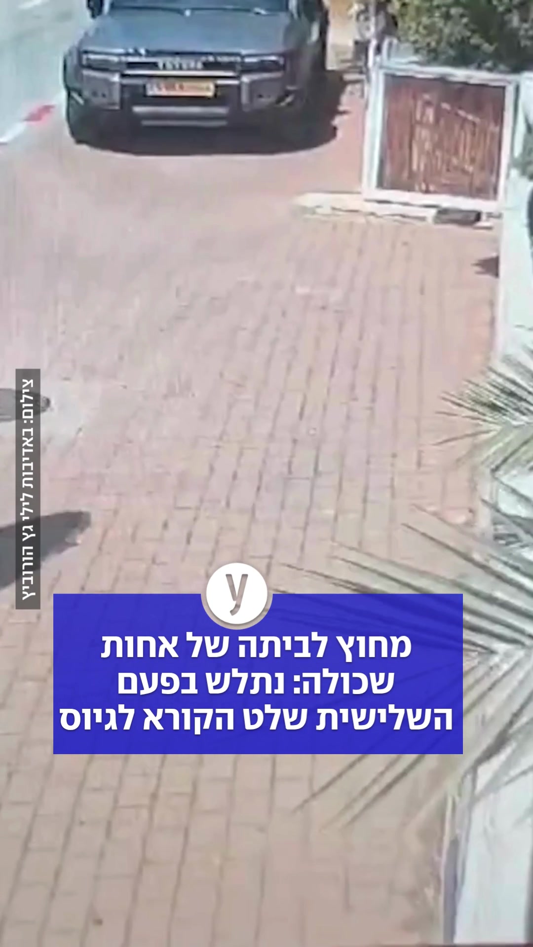 @ynet