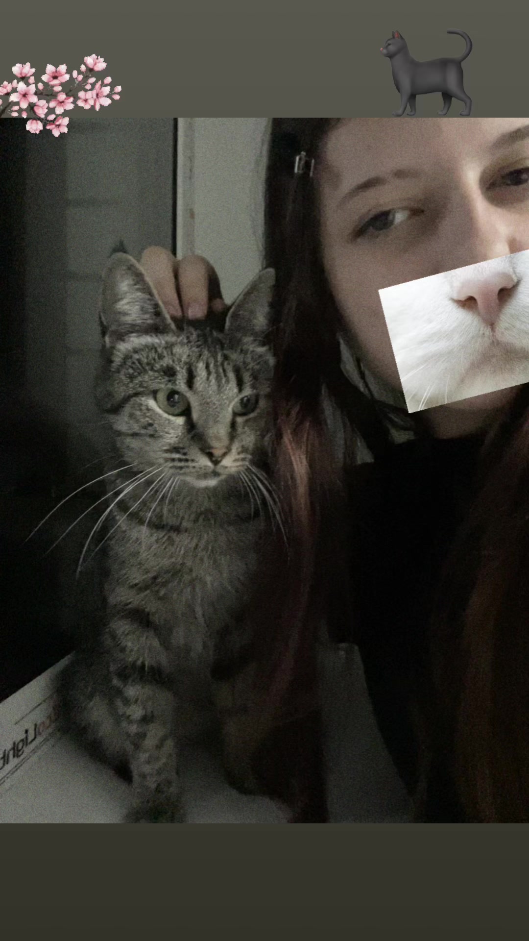@:<