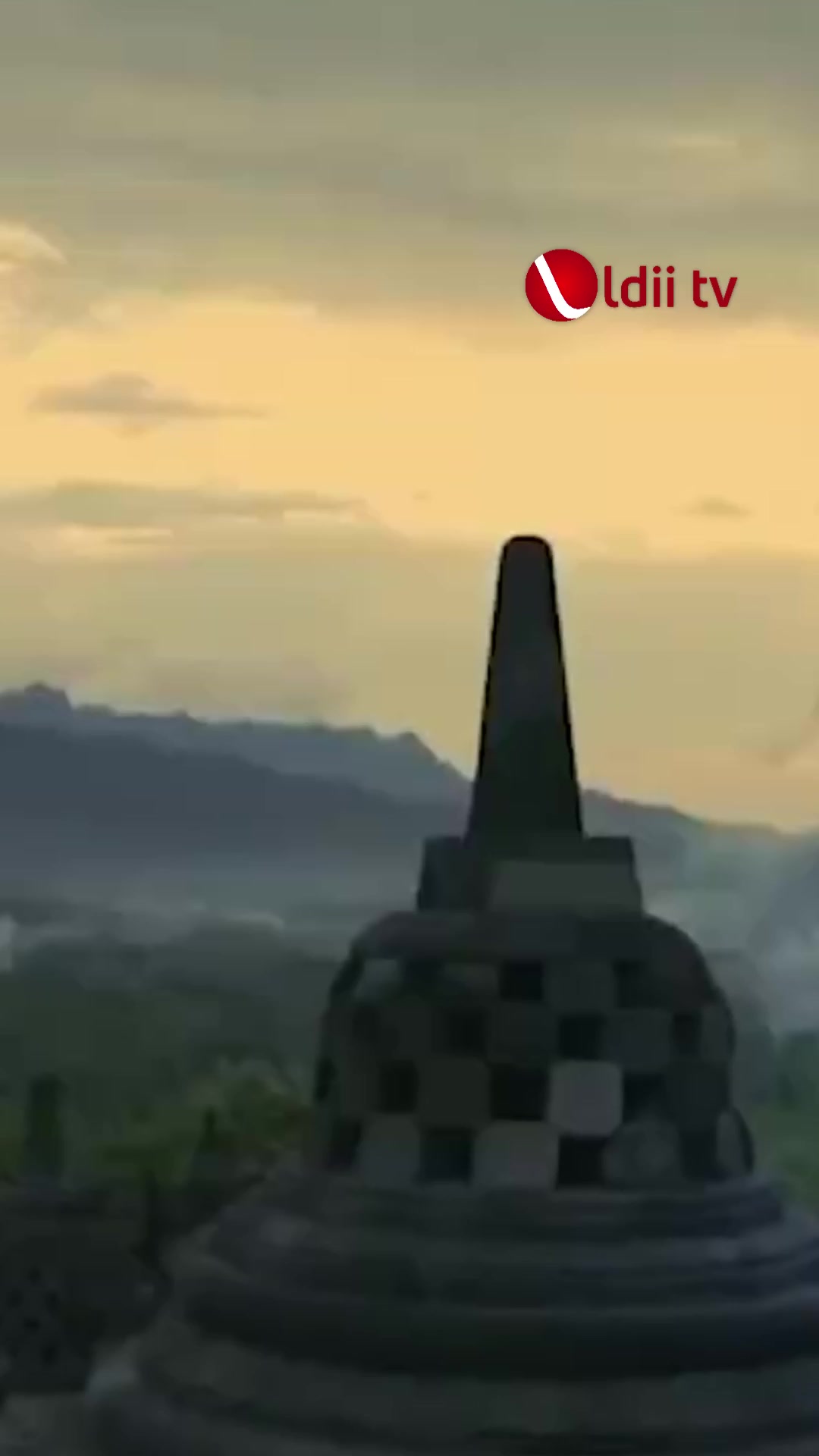 @ldii tv