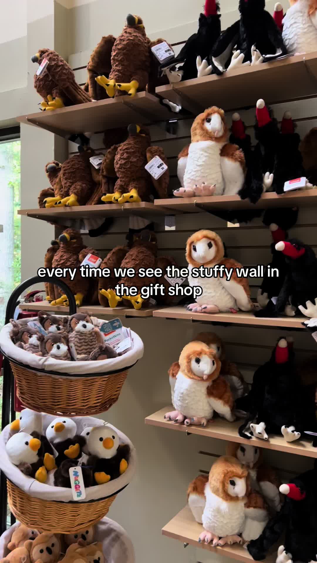 @Carolina Raptor Center