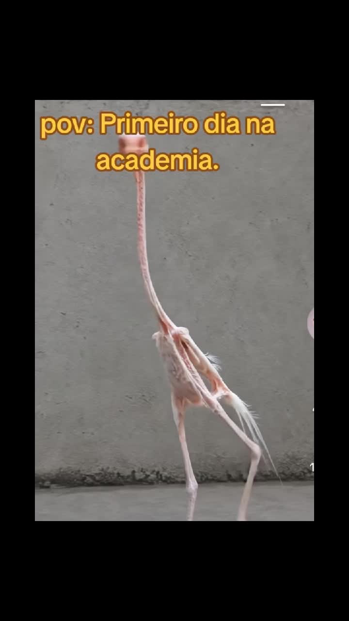 @🧞♂️ṢĄƝŢƠŞ🧞♂️