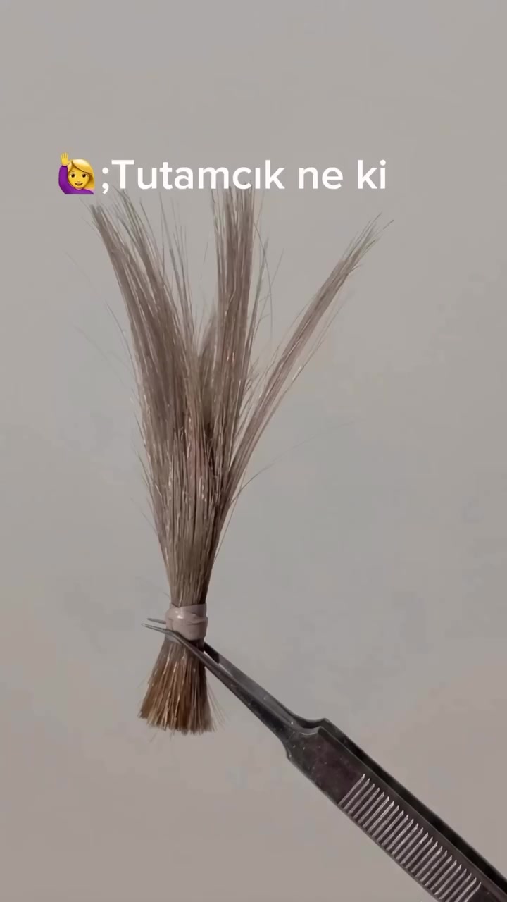 @birtutamsac