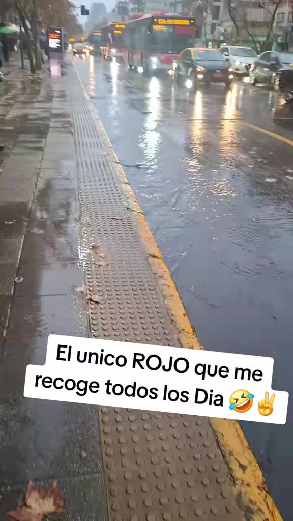 @JAZMIN RAMIREZ CANO 🕷