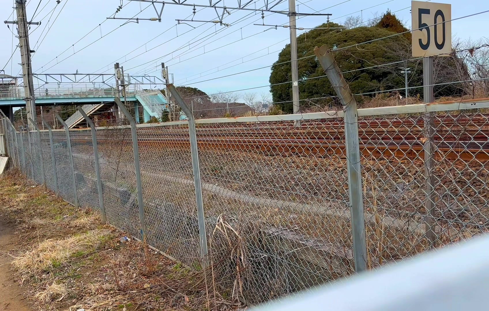 @カービィ(⊂'ᢦ')