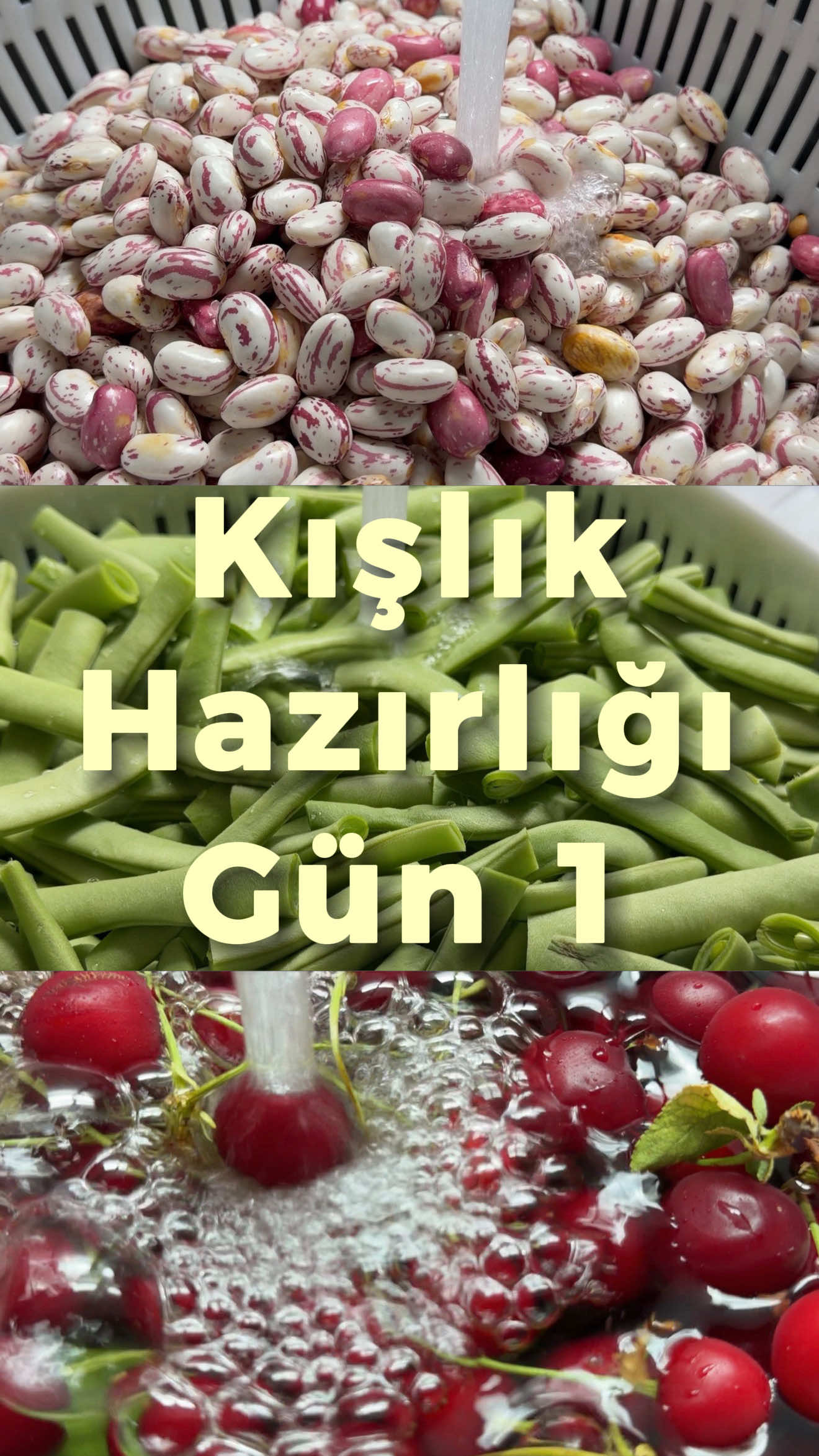 @Hande Üngörgil Molder