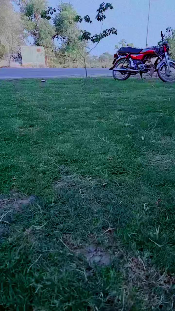 @*⟵꯭̽𝆺꯭𝅥 𝐑ɑ͜ⴄᷱ᪳᧘ 𝐍๏̚ϻ֟͡᧘ⴄᷱ᪳