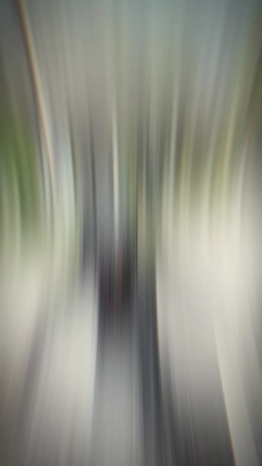 @𝙻𝚊𝚐𝚎𝚗𝚍𝚊𝚈15𝚉𝚁