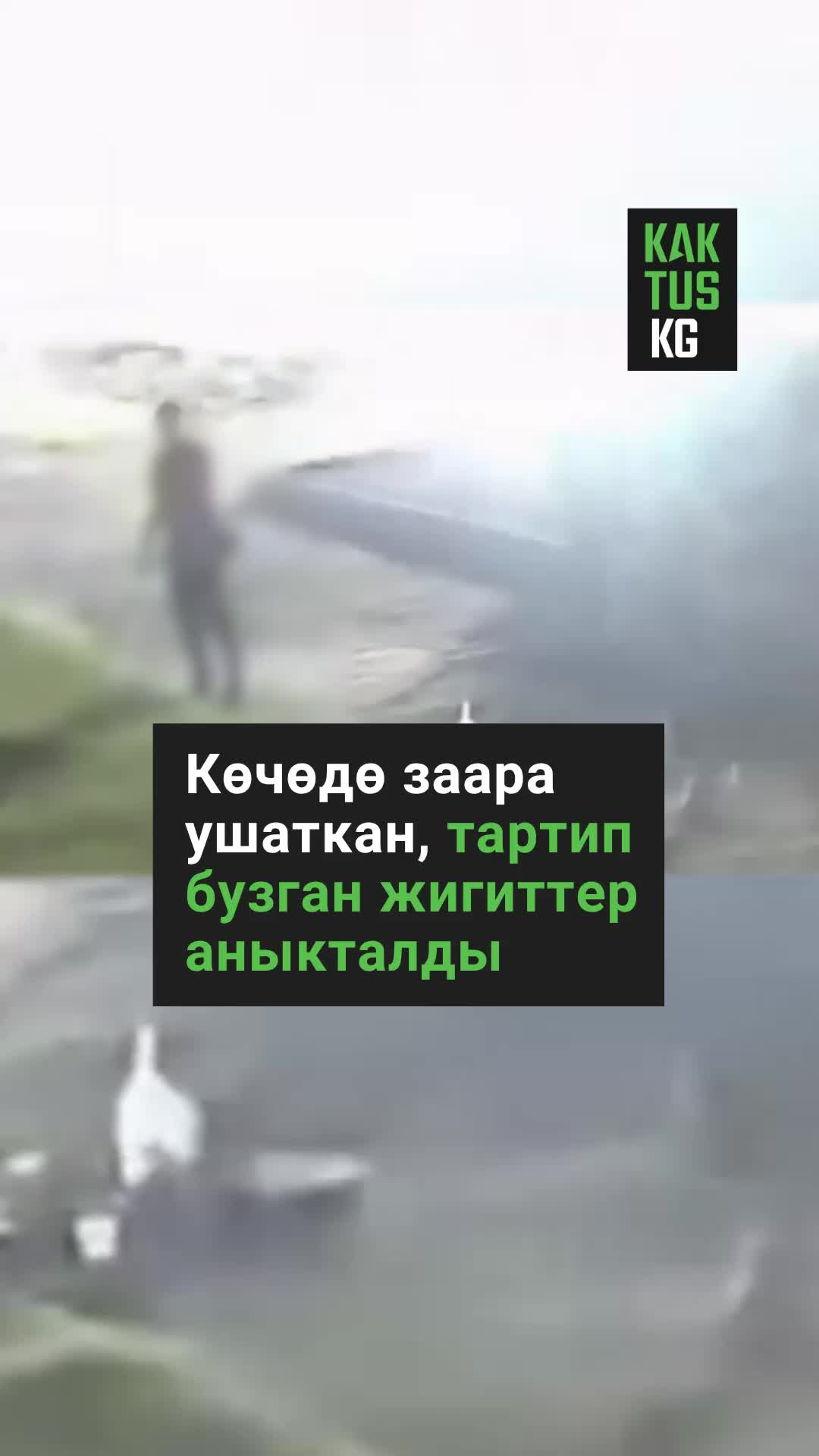 @Kaktus KG