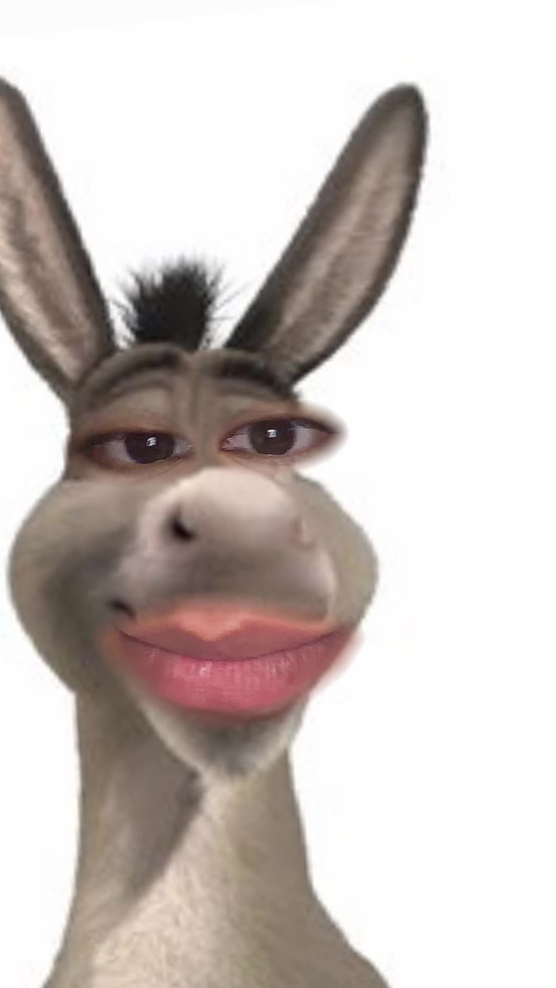 @1EmelyG