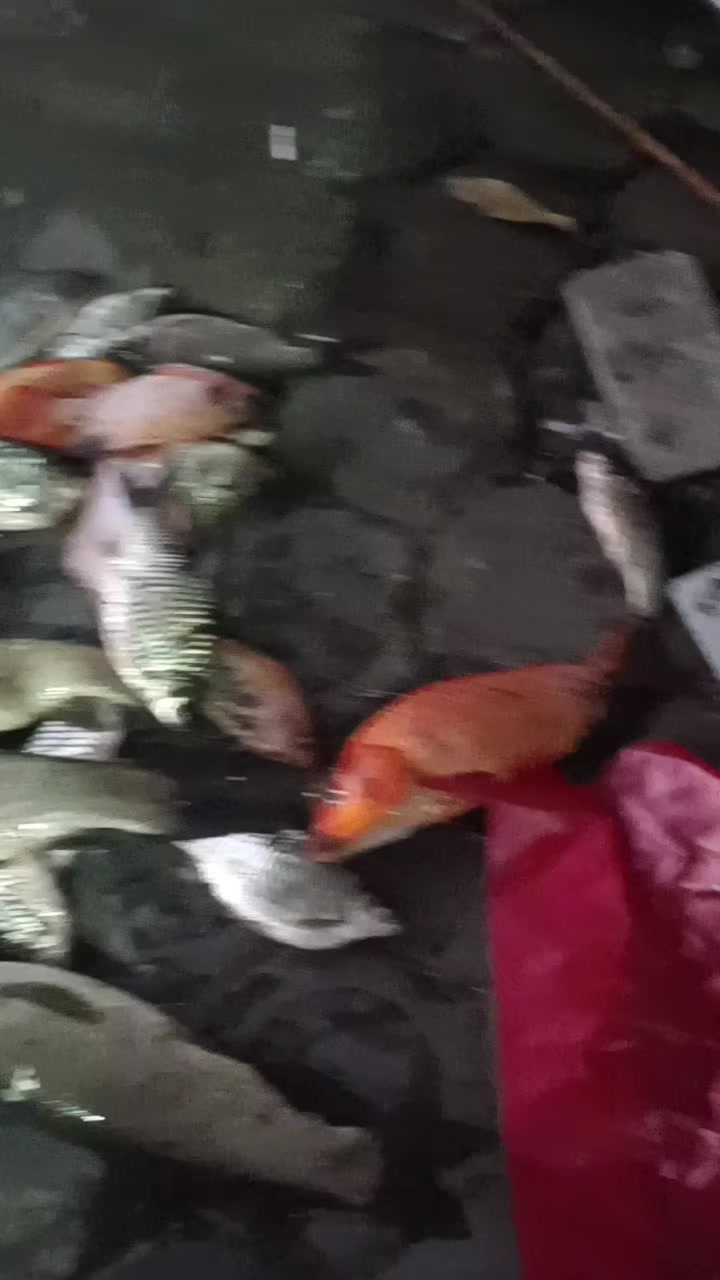 @eko adi prayono