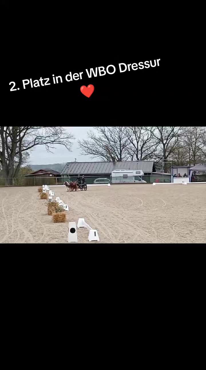 @💞🐴 Madeleine 🐴💞