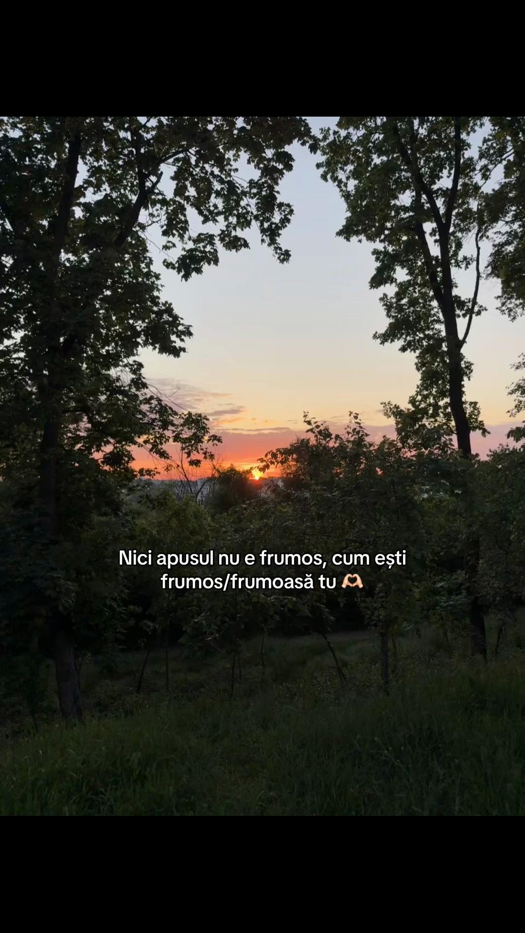 @livi)