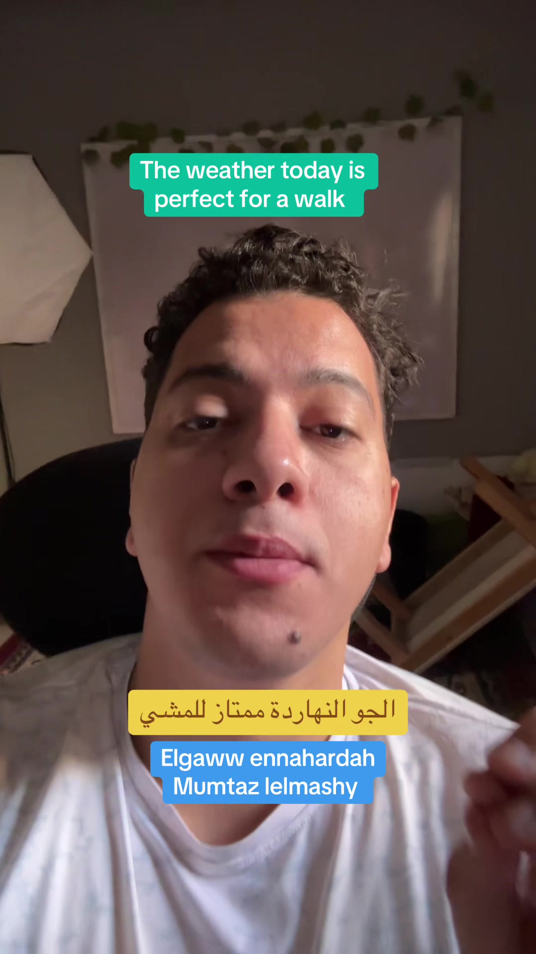 @speakarabi