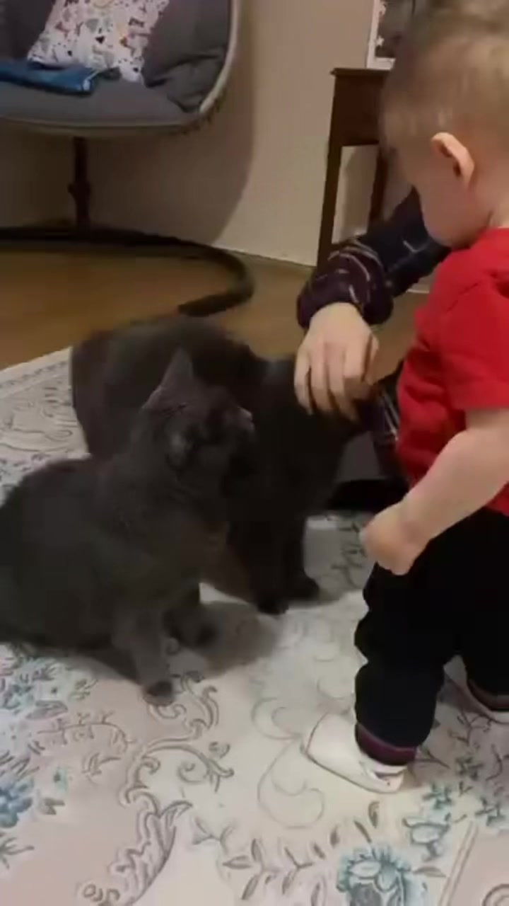@Osman Merve &Ouml;zer