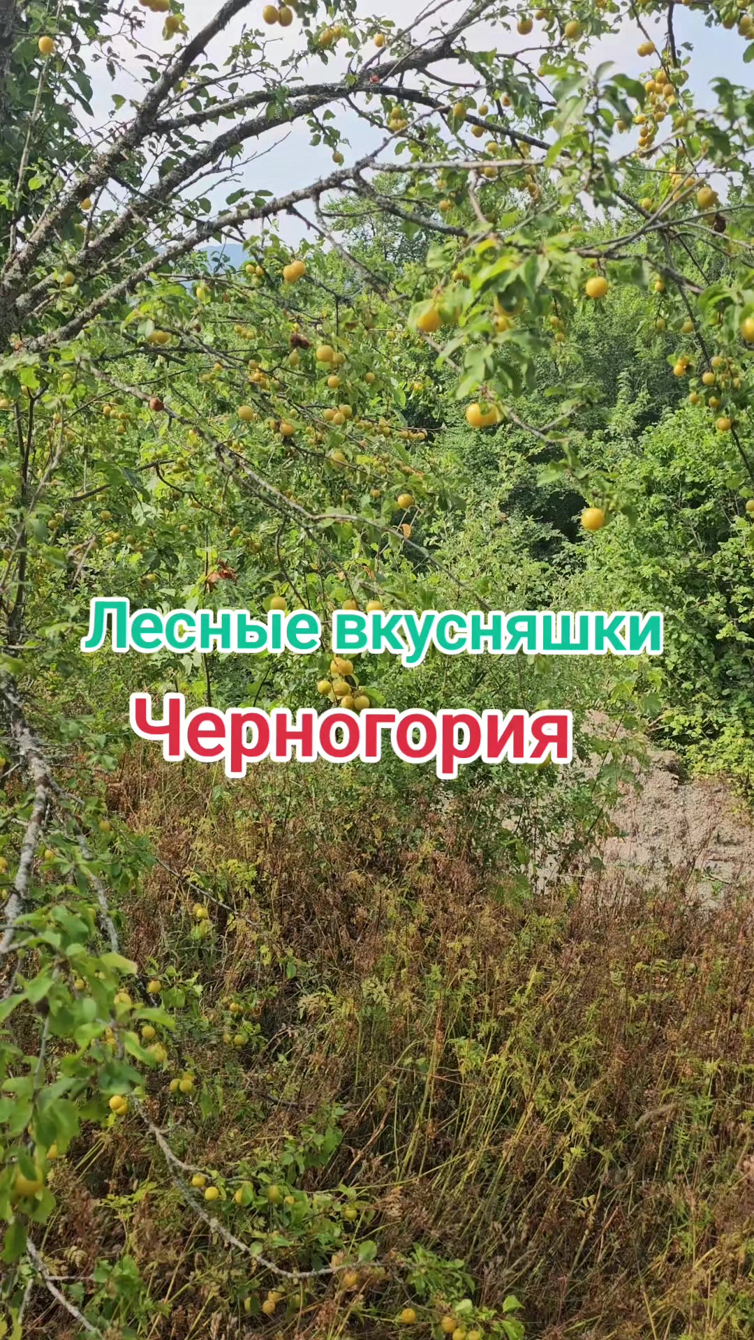 @Иван