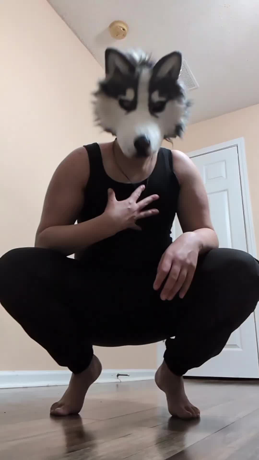 @𓃩[✦ HUSKY ✦ ]𓋹