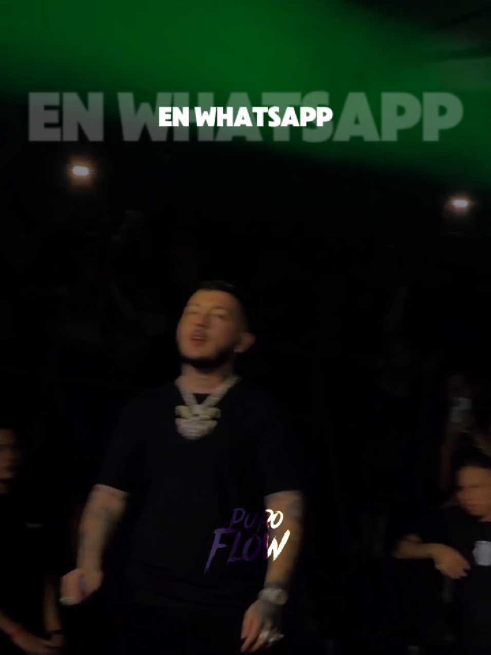 @puro0flow