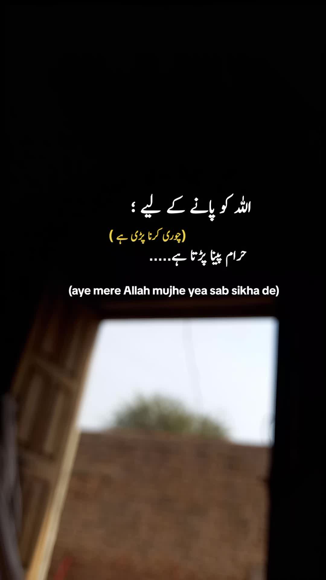 @قیس ✨🤍