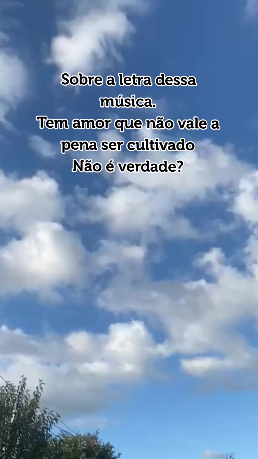 @LobaNegra✔️