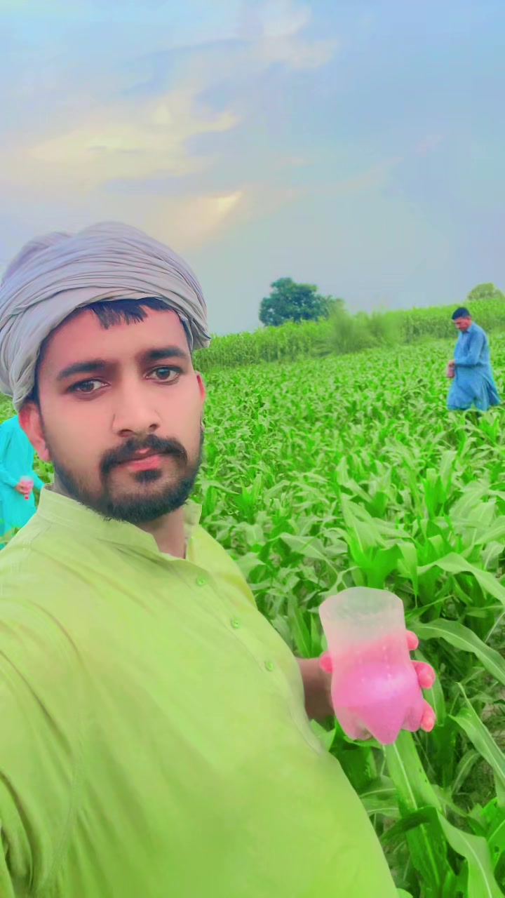 @Gujjar007