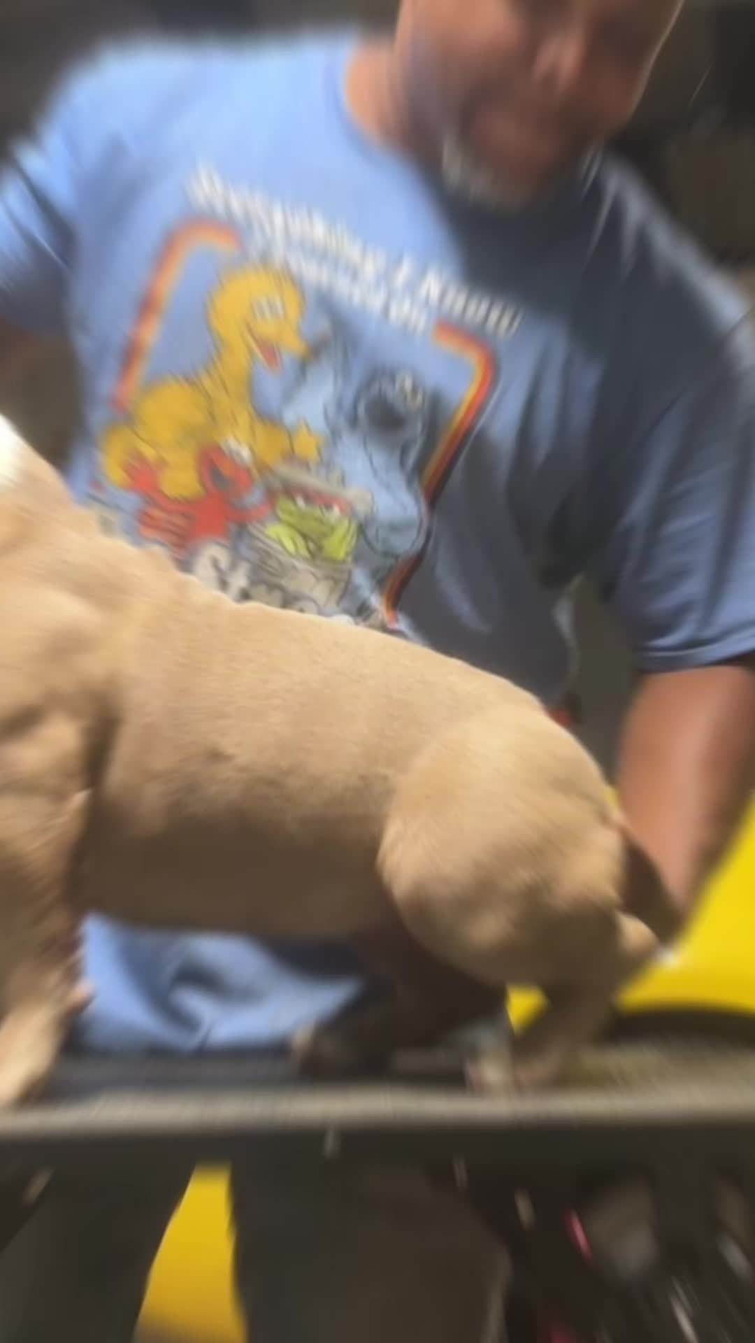 @Carters BullyHub