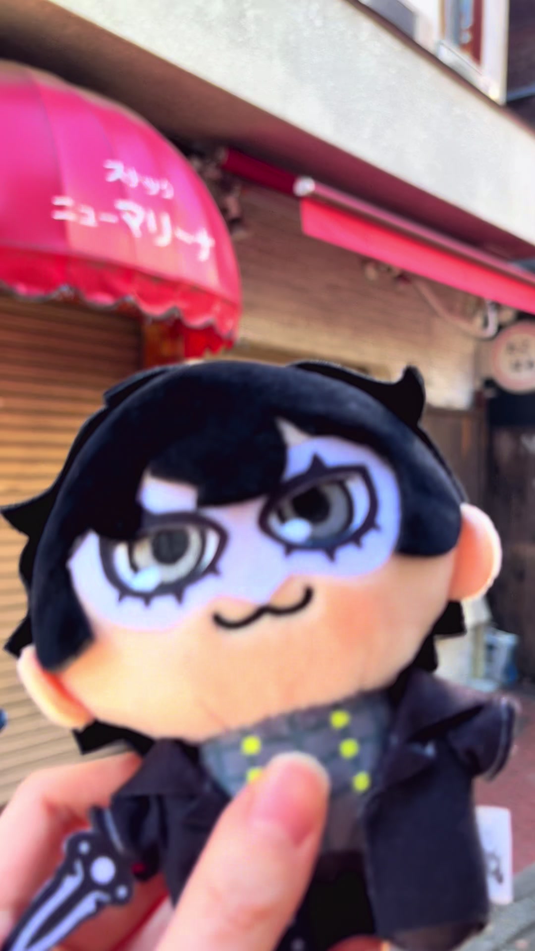@Tiffy cat