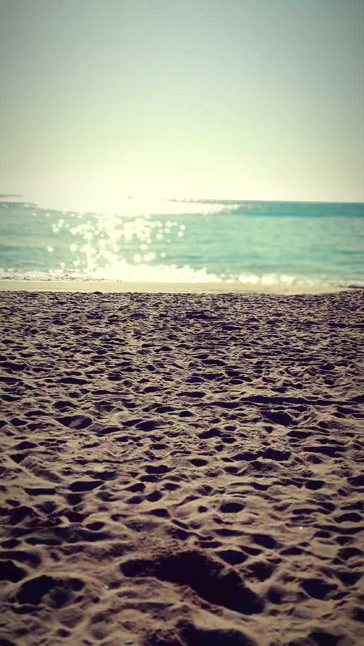 @🌷𝓪𝓶𝓪𝓷𝓭𝓪✨